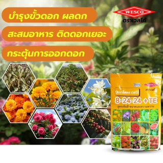 ปุ๋ยเกล็ด เวสโก้ 8-24-24+TE, 0-52-34, 7-13-34+Zn, 21-21-21+TE เร่งใบ ดอก ทำหวาน ปุ๋ยเคมี ปุ๋ยสูตรเสมอ