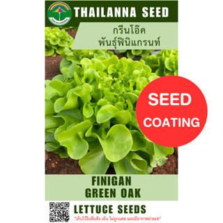 เมล็ดพันธุ์ผักสลัด กรีนโอ๊ค พันธุ์ฟินิแกรนท์ ( ขนาด 0.5 กรัม…