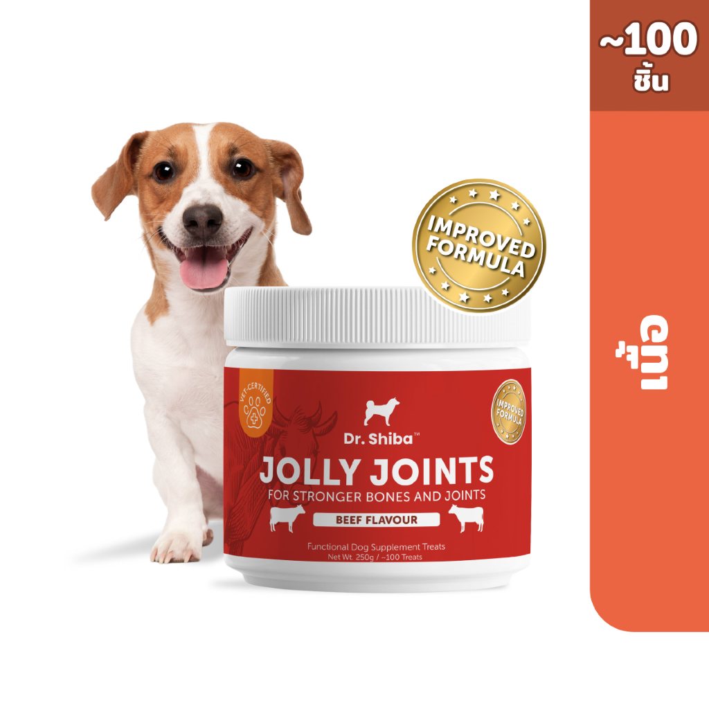 *พัฒนาสูตรใหม่* Dr. Shiba Jolly Joints - Dog Treats ขนมสุนัขเสริมสร้างข้อต่อ กระดูก รสเป็ด/เนื้อ/แซลมอน 250 กรัม