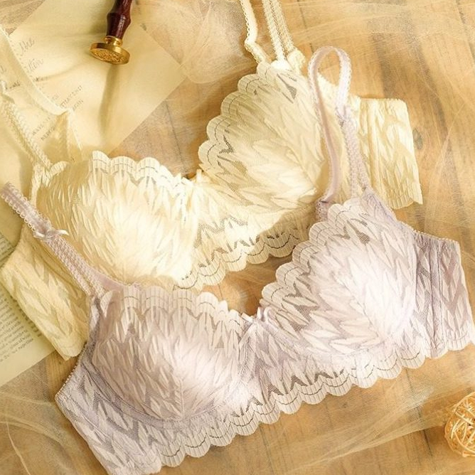Angel👙บราลูกไม้เซ็กซี่ ไซส์เล็ก มีโครงดันทรงนุ่ม ช่วยยกกระชับและขยายทรง ป้องกันการหย่อนคล้อย เนื้อผ้านุ่มสบาย ราคาถูก Shopee Lazada