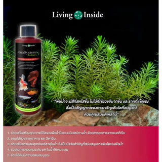 Aquasystem Biocare 250ml จุลินทรีย์ดูแลสมดุลในระบบน้ำ อ่างปลา ผสมสารอาหารและแร่ธาตุสำหรับบำรุงต้นไม้น้ำ Living Inside