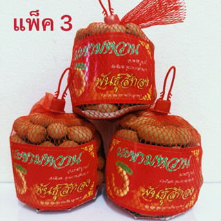 มะขามหวาน แบบ ข้อพันธุ์สีทอง แพ็ค 3ชิ้น