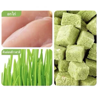 อกไก่ผสมหญ้าแมว Momosan Freeze dried Cat Treats เสริมวิตามิน ลดก้อนขน ต้นอ่อนข้าวสาลี ขนมแมว ฟรีซดราย