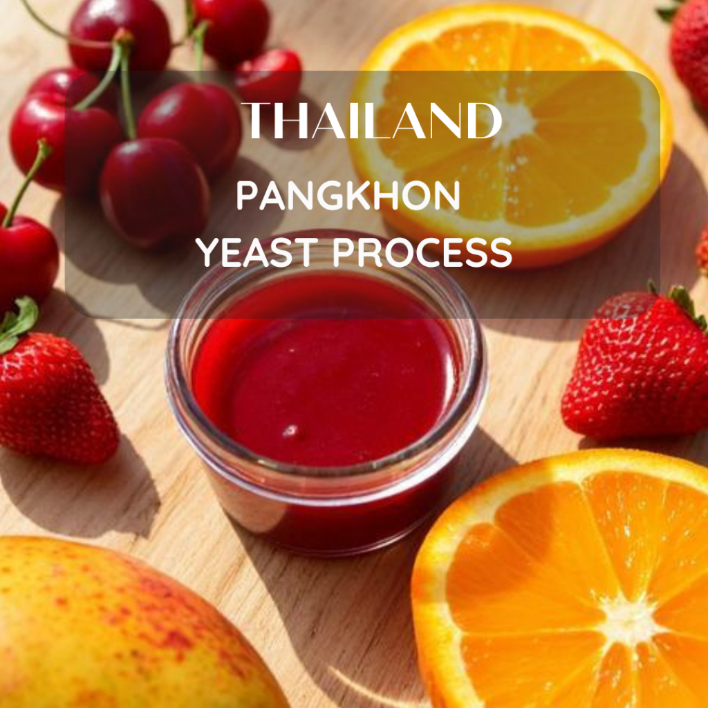 2025 สารเมล็ดกาแฟปางขอน จ.เชียงราย Anaerobic Process/ Yeast Process