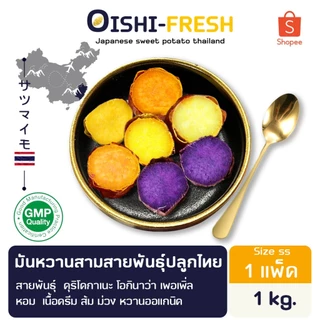 Oishi-Fresh มันหวาน 3 สีสายพันธุ์ ไซต์ จิ๋ว ปลูกไทย 1 กก. ปลอดสารพิษ รสชาติหวาน หอม สด ใหม่ หวานออร์แกนิค จัดส่ง24ชม.