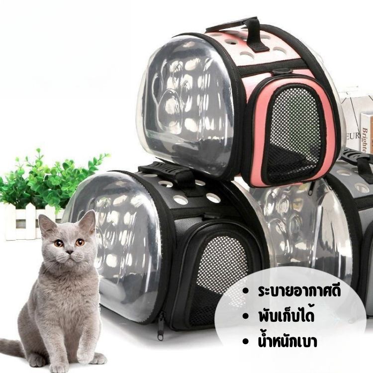 กระเป๋าอวกาศสัตว์เลี้ยง กระเป๋าอวกาศ รูปที่ 3
