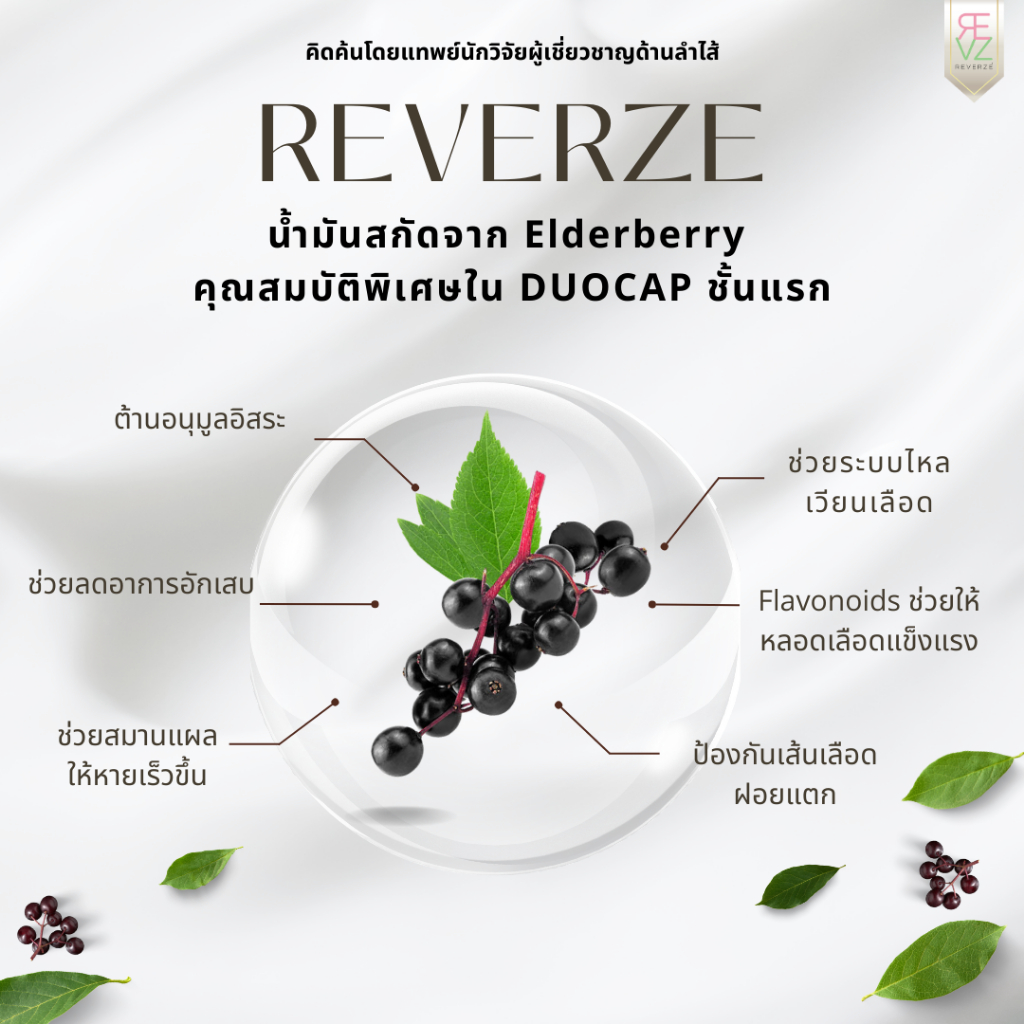 รีเวอร์เซ่ By รีเวร่า โพรไบโอติก พลัส เอลเดอร์เบอร์รี่ ผลิตและคิดสูตรโดยแพทย์นักวิจัยเยอรมนี  2กล่อง - รูปที่ 3