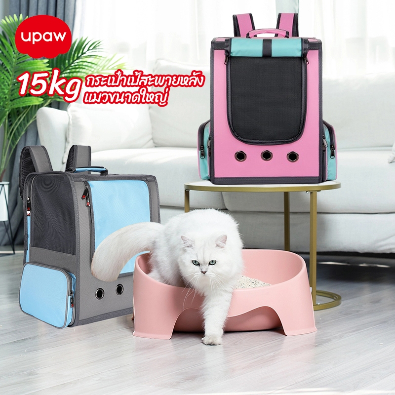 รูปภาพ 9