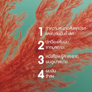 [แพ็ค3] อีฟ โรเช Yves Roche Purity Purifying Vinegar 400ml. + Shampoo 300ml. & Conditioner 200ml