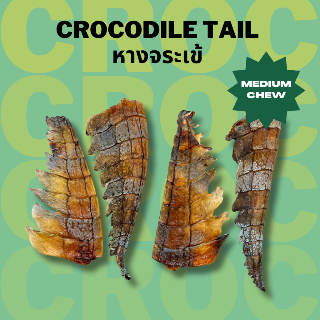 หางจระเข้อบแห้ง ขัดฟัน แทะนาน เจ้าแรกในไทย Bella's Bites Crocodile Tail Chew for Dogs