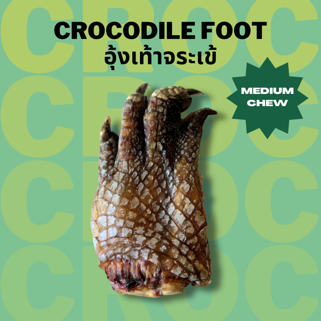 อุ้งเท้าเข้ ขนมหมาแมว ขนมแทะแก้เบื่อ ขัดฟัน เจ้าแรกในไทย Bella's Bites Crocodile Foot Chew