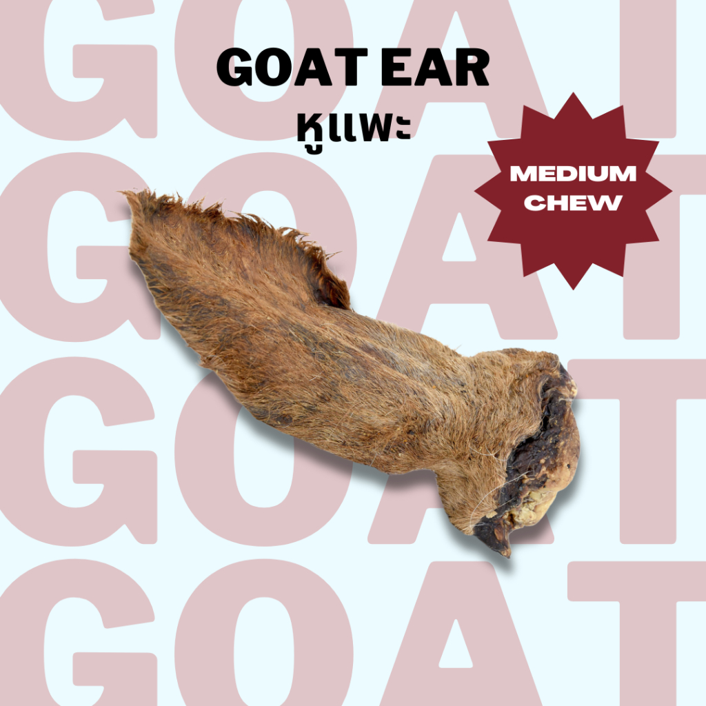 หูแพะ ขนมแทะอบแห้ง แก้เบื่อ ขัดฟัน Bella's Bites Goat Ear Chew for Pets