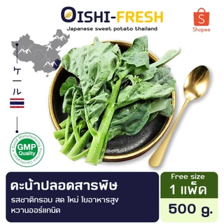 🛒Oishi-Fresh🥬คะน้าจีน ปลอดสารพิษ 1 กก. รสชาติกรอบ สด ใหม่ ใยอาหารสูง หวานออร์แกนิค เคลมได้ 1-2 วัน