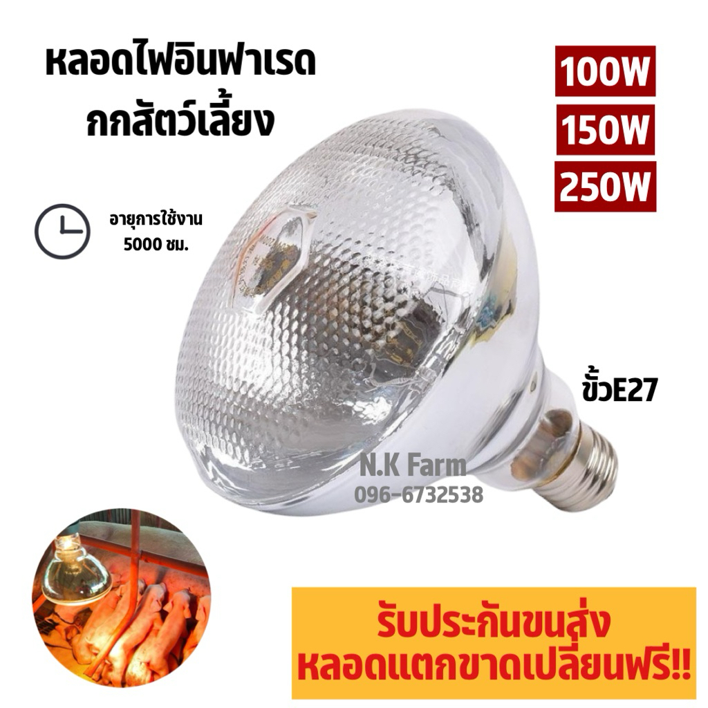 หลอดไฟอินฟาเรด[ขาวหนา] แสงสีส้ม-แก้วหนา กกไก่ หมู 100วัตต์  E27 หลอดไฟให้ความอบอุ่น infrared bulb 100W/150W/250W
