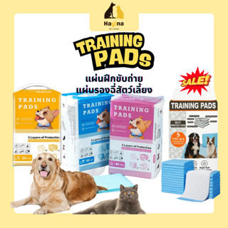 (พร้อมส่ง🇹🇭) แผ่นรองฉี่สุนัขและแมว แผ่นรองซับสัตว์เลี้ยง ช่ว…