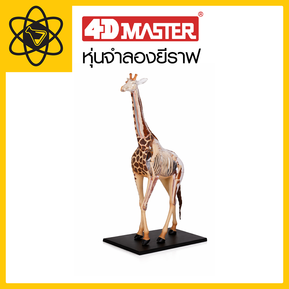 4D Vision หุ่นจำลองยีราฟ 4 มิติ