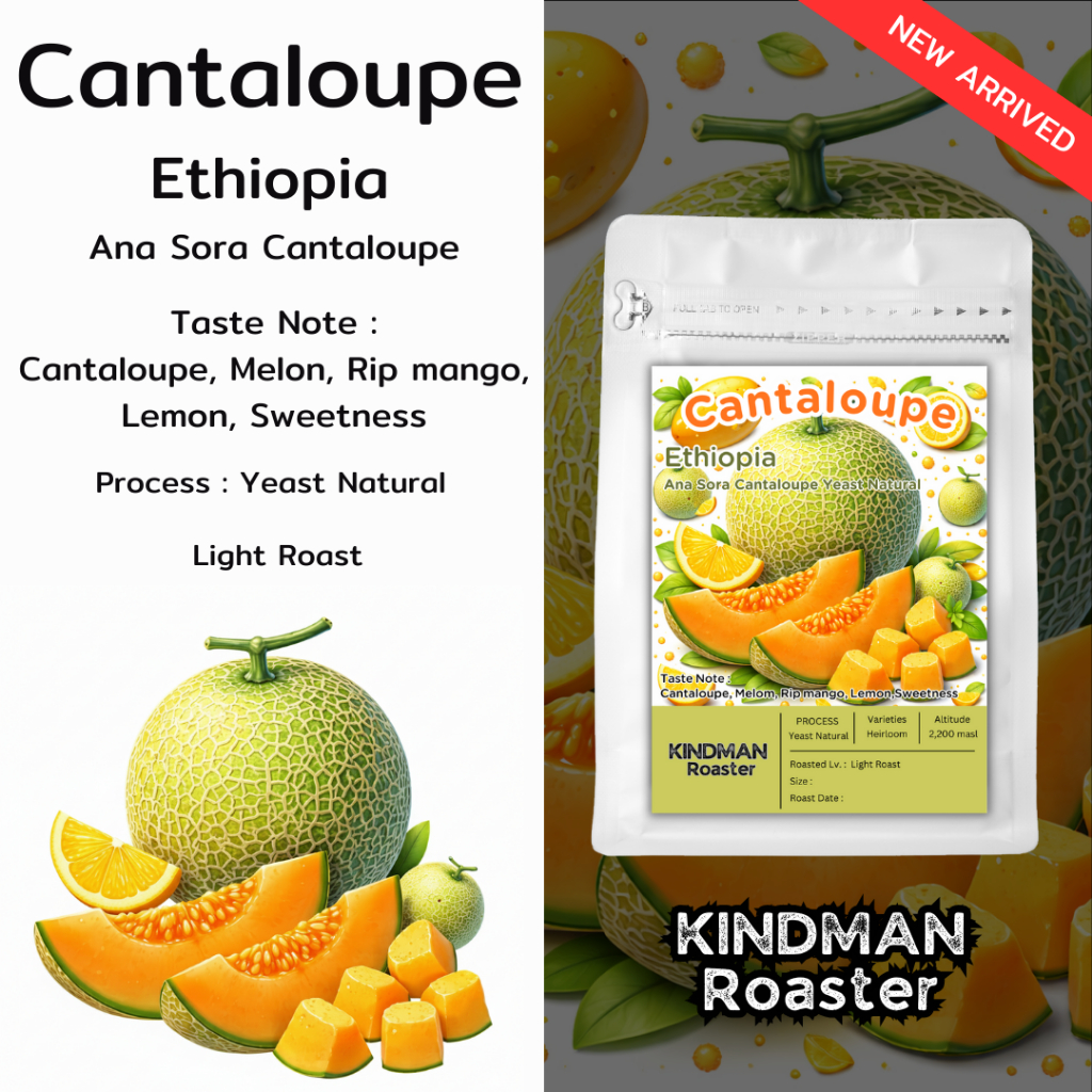 เมล็ดกาแฟ Ethiopia Ana Sora Cantaloupe Yeast Natural Process กลิ่นแคนตาลูปหวานฉ่ำ By Kindman Roaster