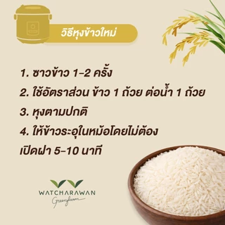 (ข้าวใหม่ 68/69) ข้าวหอมมะลิ ตรา ไดโนเสาร์ บรรจุขนาด 5 กก.