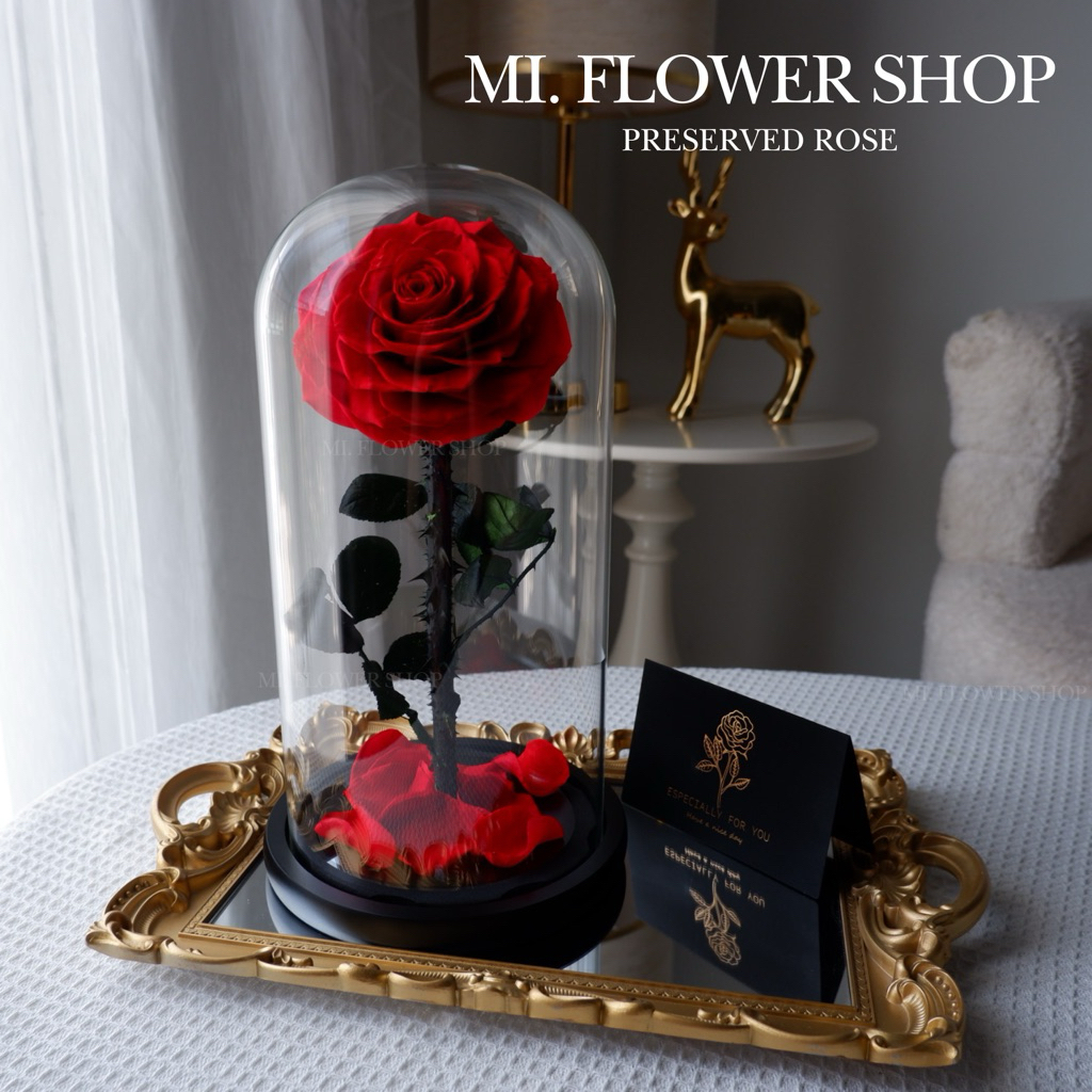 กุหลาบอมตะในโหลแก้ว 🌹 ไซส์ XL หลากสี ไอเดียของขวัญ วันวาเลนไทน์ - รูปที่ 3