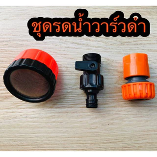 (พร้อมส่ง) ฝักบัวรดน้ำ 2000 รู ขนาด 4หุน,5-6หุน ฝักบัวรดน้ำแคคตัส ฝักบัวรดน้ำบอนไซ ฝักบัวรดน้ำต้นไม้
