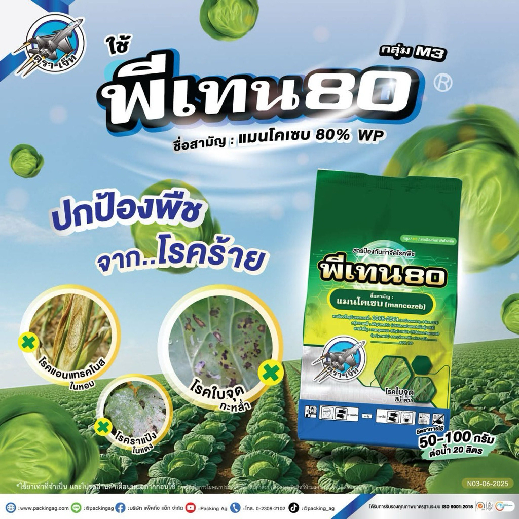 พีเทน80 แมนโคแซบ80% รักษาป้องกันเชื้อราใบไหม้ ใบจุด แอนทราโนส ขนาด 1 กิโลกรัม