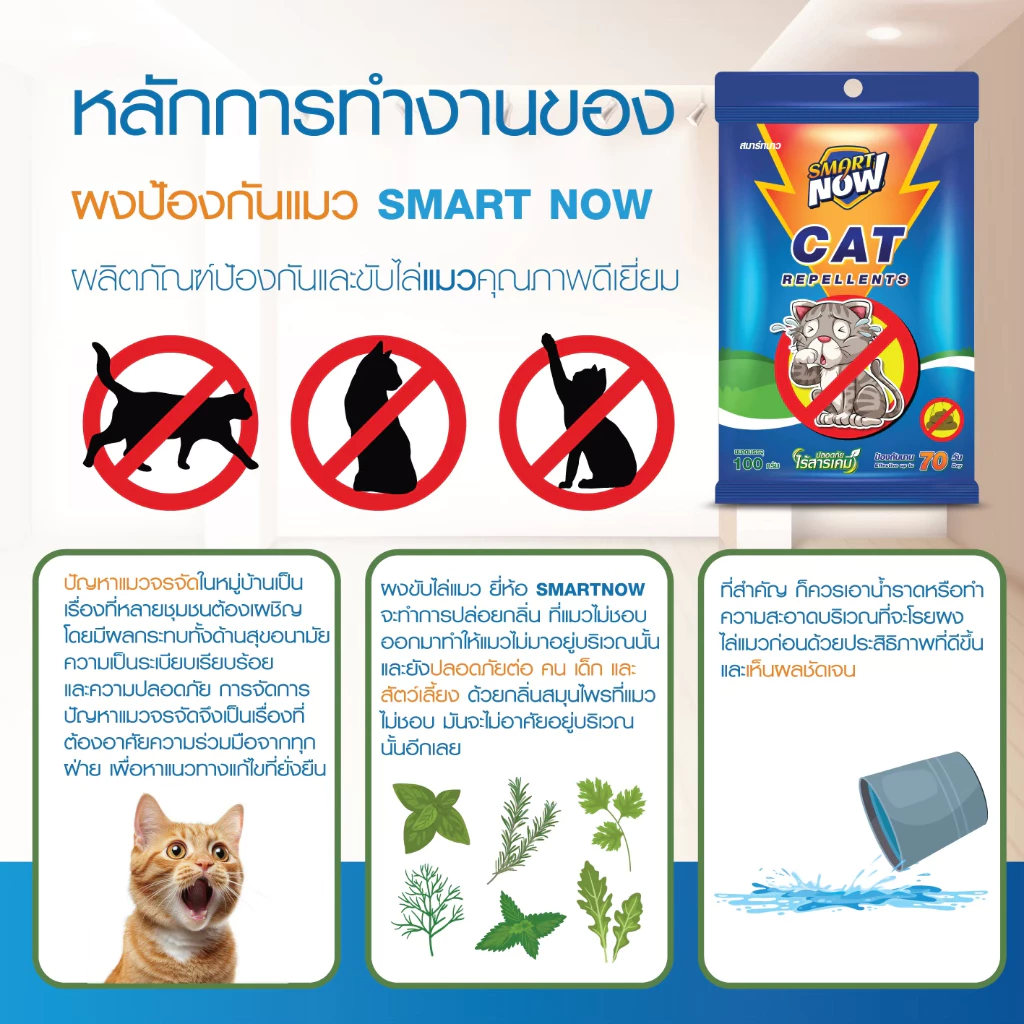 ไล่แมว แมวจร น้ำยาไล่แมว ผงไล่แมวยุคใหม่ thumbnail 5