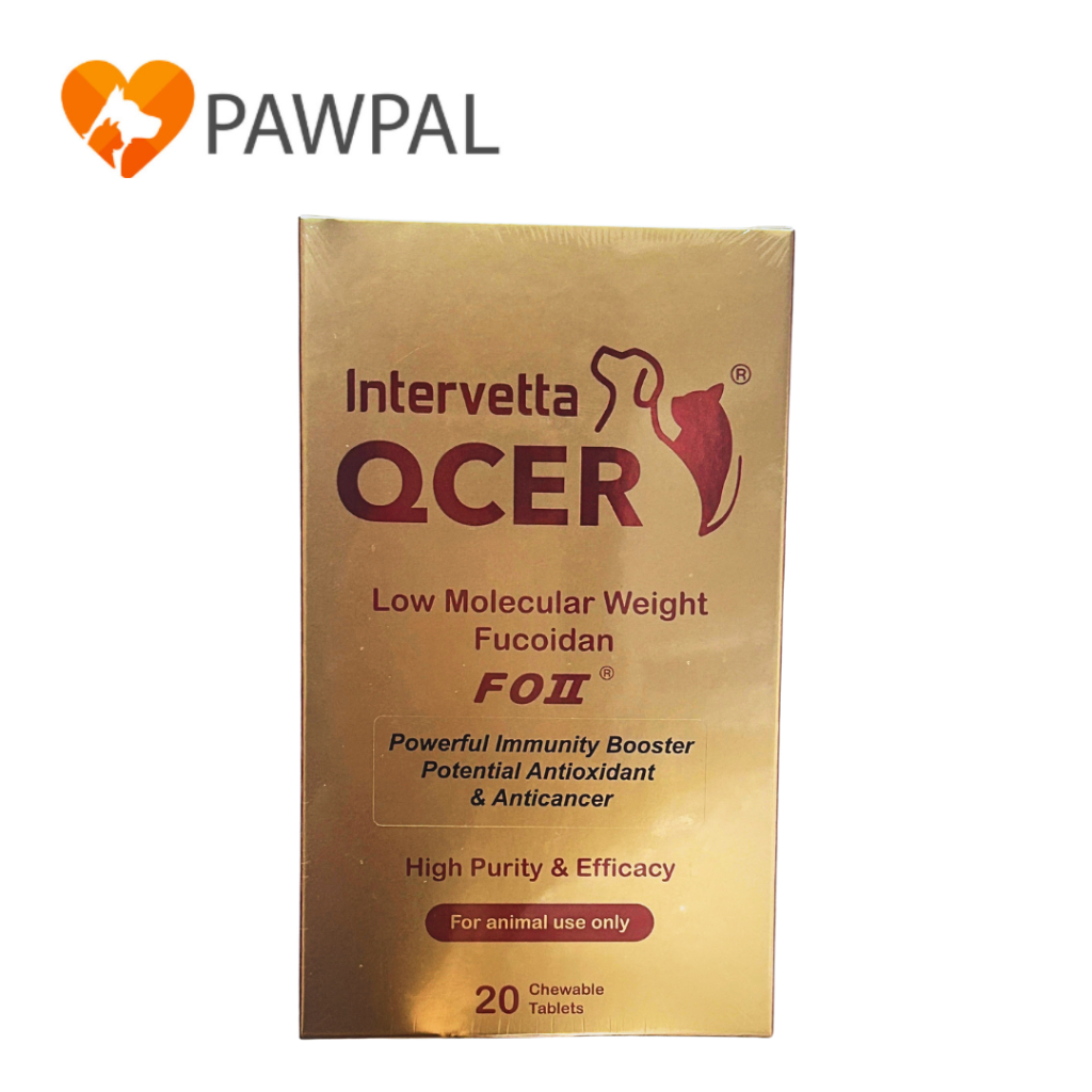 QCER Intervetta 🔥Exp.2027 ต้านมะเร็ง เสริมภูมิคุ้มกัน Fucoidan สุนัข แมว