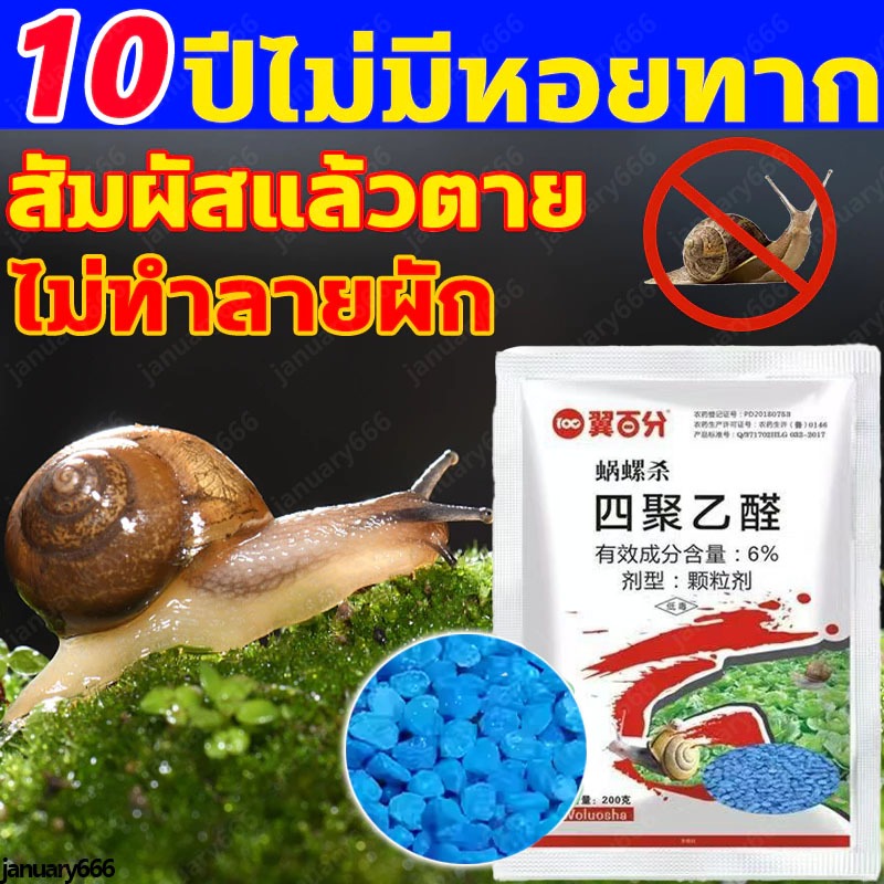ได้ผล100% ยาฆ่าหอยทากเข้มข้นสุด สเปรย์ป้องกัน+กำจัด 10ปีไม่มีหอยทาก 1วิฆ่าทันทีหลังฉีดพ่น 500gพกพาสะดวก ไม่เป็นอันตรายต่