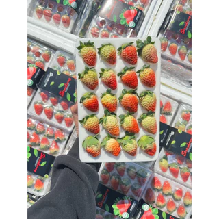 ส่งด่วน 4 ชม. สตอเบอร์รี่จีน สตอเบอร์รี่นำเข้าจากประเทศจีน แพ็คละ 20 ลูก หวานอมเปรี้ยว น้ำหนัก 350 กรัม ตู้ใหม่ สวย สด