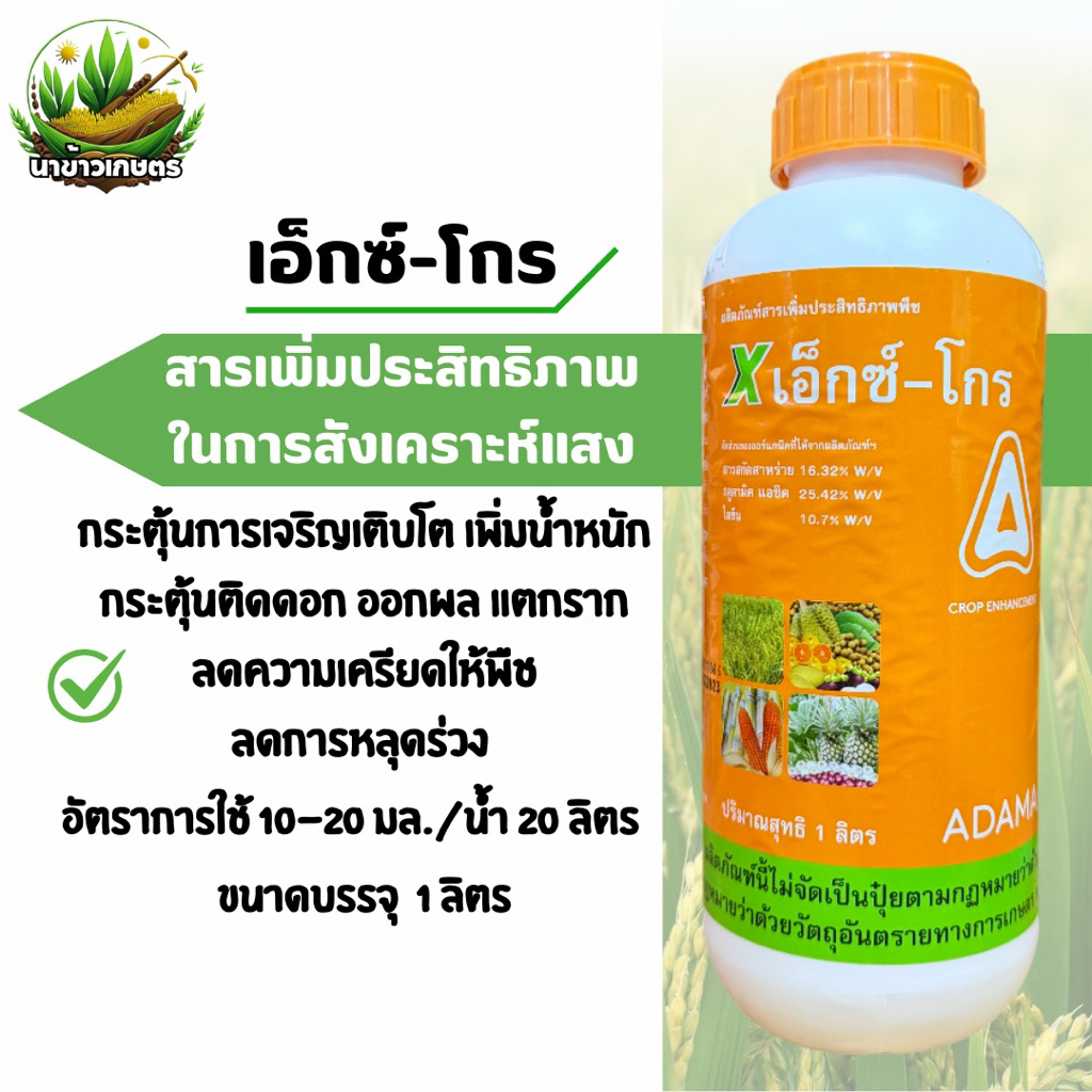 เอ็กซ์-โกร adama 1 ลิตร สาหร่ายเข้มข้น กระตุ้นการเจริญเติบโต ติดดอก ออกผล แตกราก ลดการหลุดร่วง