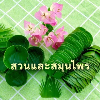 กระทงใบตองสด ทรงกลม กระทงขนมเข่ง ขนาด5.5ซม.และ ขนาด6.5ซม. 100ชิ้น ส่งภายใน3วันค่ะ