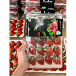 🍓สตอเบอรี่สด นำเข้าจัดส่งทันที✨ คัดก่อนส่ง ขนาด20ลูก (เปรี้ยวอมหวานพื้นที่ กทม.ได้รับภายใน 4 ชั่วโมง กดรับด่วนเท่านั้น)