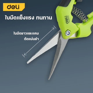 Deli กรรไกรตัดแต่งกิ่ง กรรไกรตัดแต่งกิ่ง 6.5 นิ้ว ด้ามยางกันลื่น ปลอดภัยด้วย Safety Lock Pruning Shears