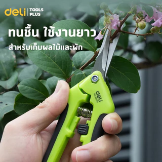 Deli กรรไกรตัดกิ่ง กรรไกรตัดแต่งกิ่ง มีล็อค ปลอดภัย ใบมีดคม 6.5 นิ้ว ด้ามยางกันลื่น Pruning Shears