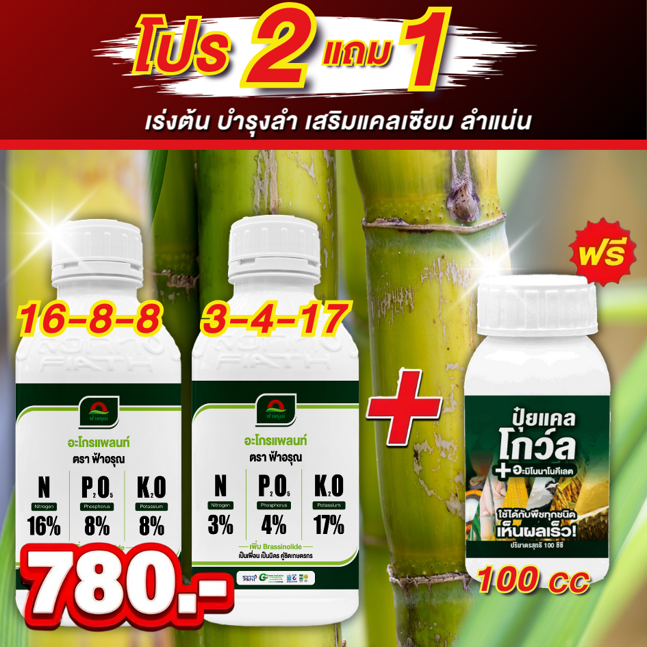 เซ็ทเทพอ้อย 3 แถม 1 แถมเสื้อ(เสื้อปุ๋ยยา1ตัว) - ปุ๋ยเคมีครบทุกระยะอ้อยขวดละ1ลิตร ระยะเช่วยเพิ่มความหวาน เร่งแตกกอ