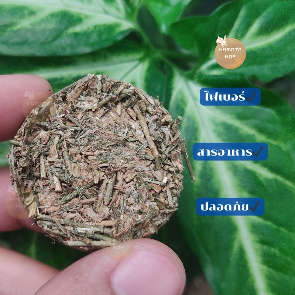 คุกกี้หญ้าฮามาต้า คุกกี้กระต่าย ไฟเบอร์เด่น มีสารอาหารจากธรรมชาติ ไม่ใส่แป้งและน้ำตาล🌿ปลอดภัย ทำใหม่