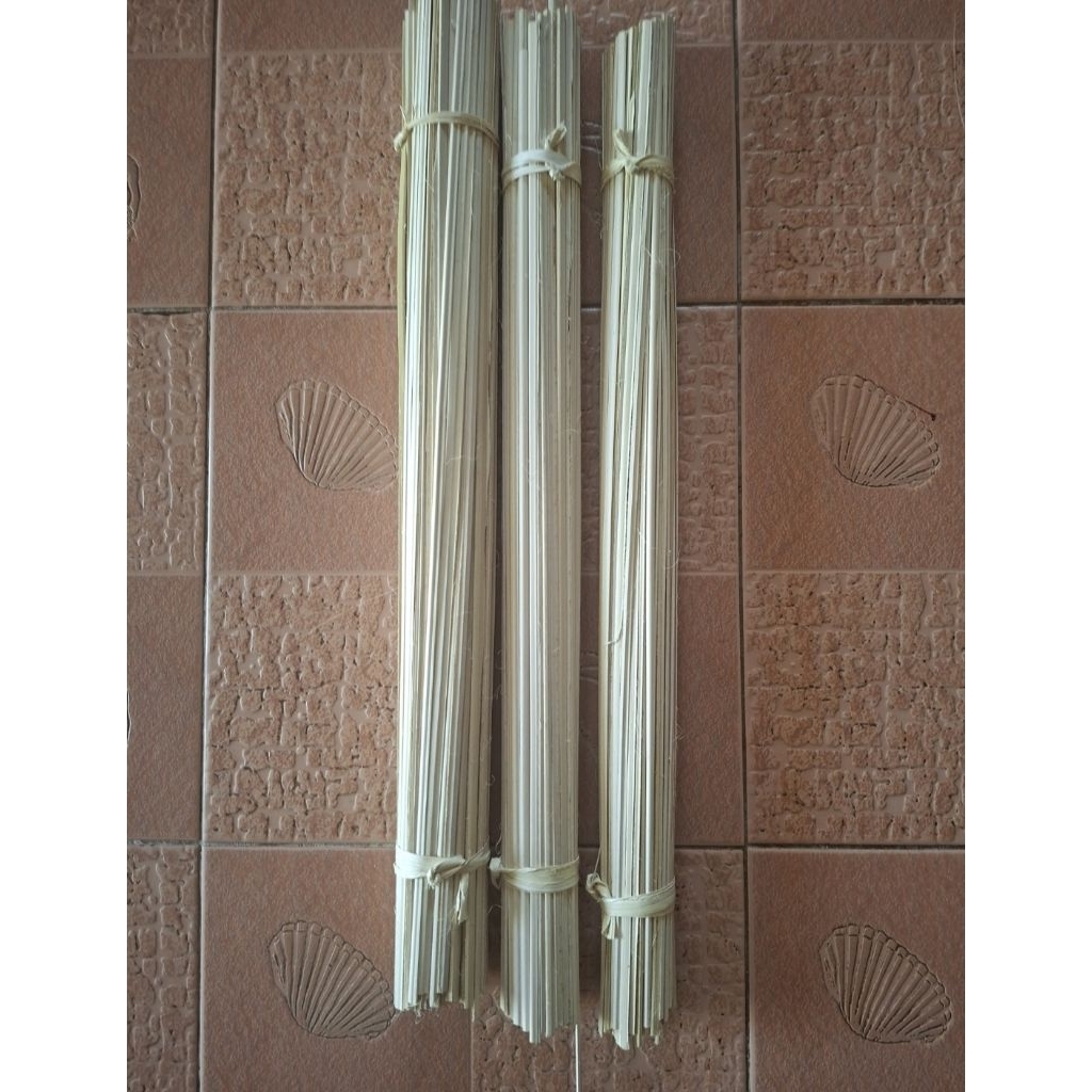 ก้านลานคัด ยาว50เซน(100เส้น)