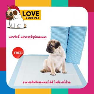 รายการของแถม แผ่นซับฉี่ แผ่นรองฉี่สุนัขและแมว ดูดซับกลิ่น ฝึ…