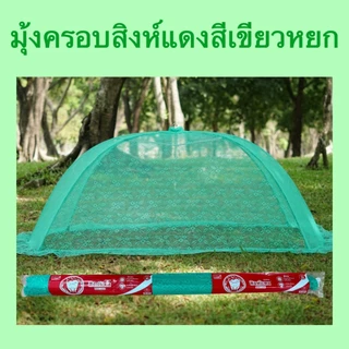 มุ้งครอบ มุ้งกันยุง สำหรับผู้ใหญ่ ขนาด XL ตราสิงห์แดง Netto มุ้งครอบลูกไม้ กางง่าย ปลอดภัยมีกุญแจล็อคกันดีด แข็งแรงทนทาน