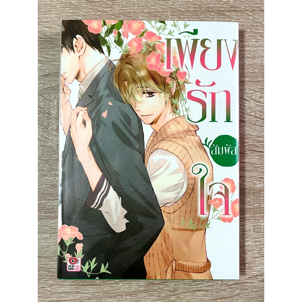 เพียงรักสัมผัสใจ - WAKA SAGAMI