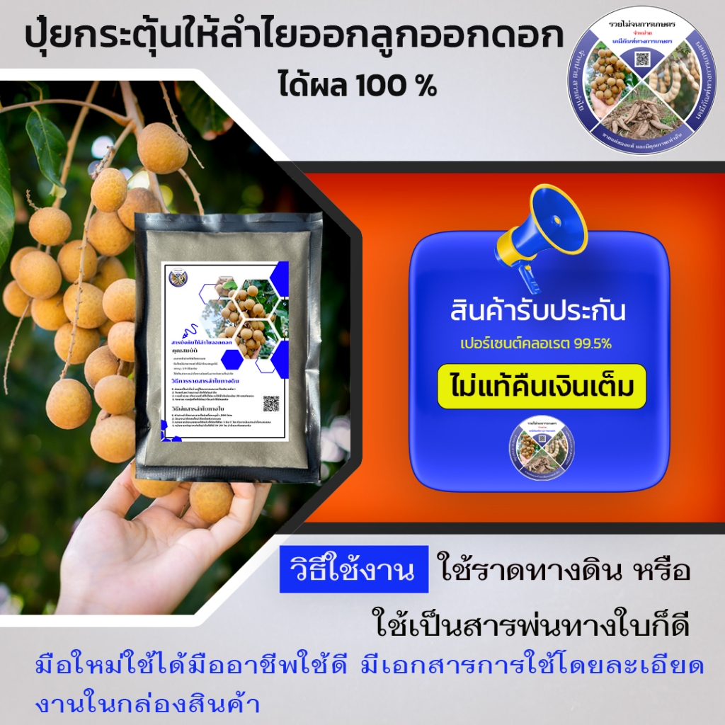 สารเร่งดอกลำไยสารกระตุ้นให้ลำไยออกลูกประกันสารแท้ ไม่แท้คืนเต็มใช้เป็นสารราดทางดินหรือใช้เป็นสารพ่นทางใบลำไย