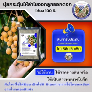 สารเร่งดอกลำไยสารกระตุ้นให้ลำไยออกลูกประกันสารแท้ ไม่แท้คืนเ…