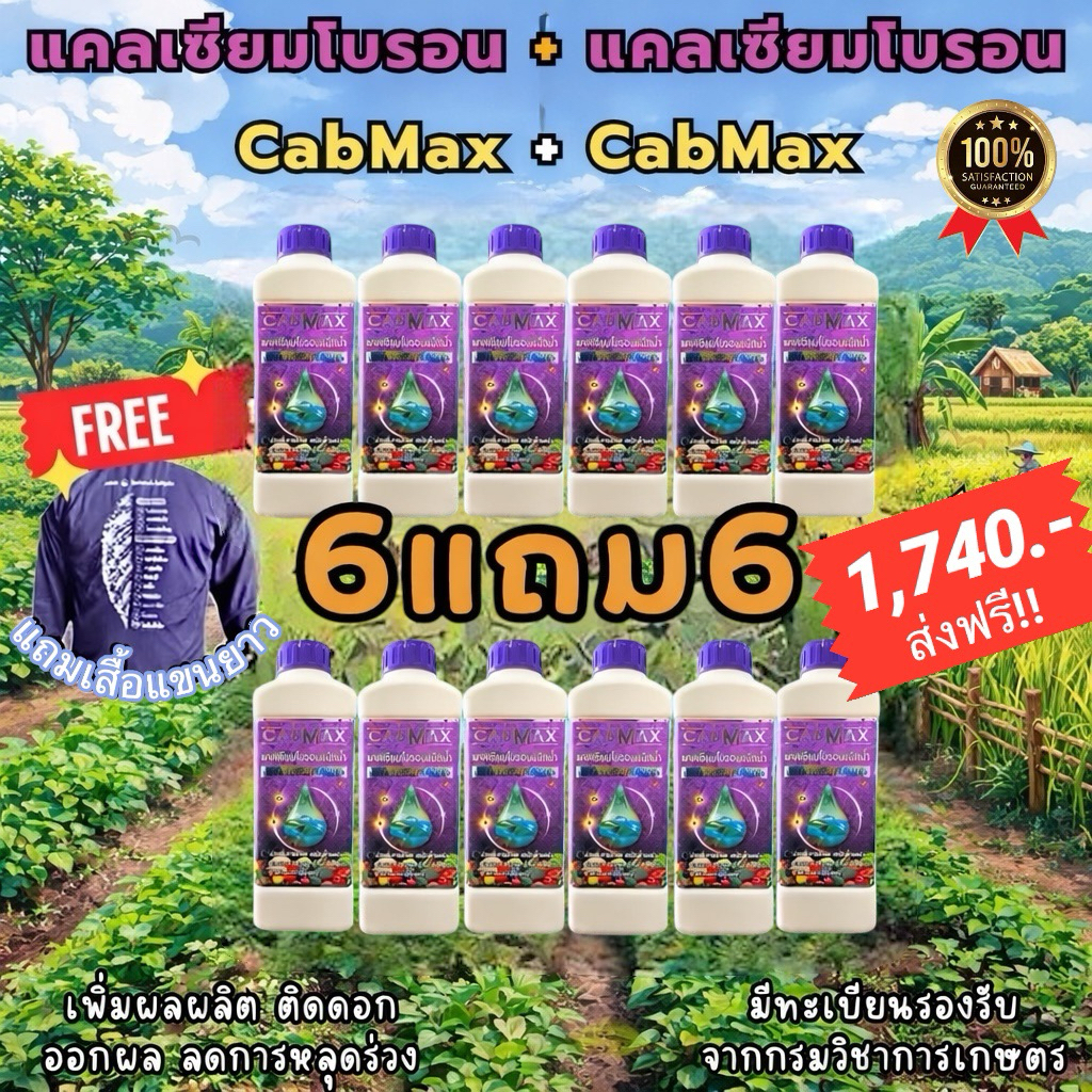📦ยกลัง12ขวด (แถมเสื้อปุ๋ย) ปุ๋ยแคลเซียมโบรอนเข้มข้น CABMAX [6แถม6] ช่วยให้ขั้วเหนียว ลดการหลุดร่วง (C12+เสื้อ)