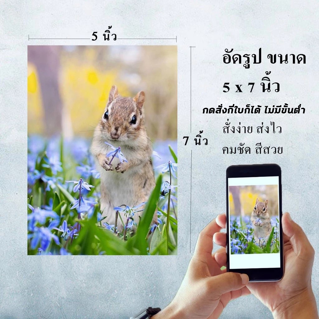 ปริ้นรูป อัดรูป 5x7 นิ้ว ใหญ่เต็มตา สุดคุ้ม กดสั่งกี่ใบก็ได้  ไม่มีขั้นต่ำ คุณภาพดี สีสด เครื่องเลเซอร์ ส่งถึงบ้าน