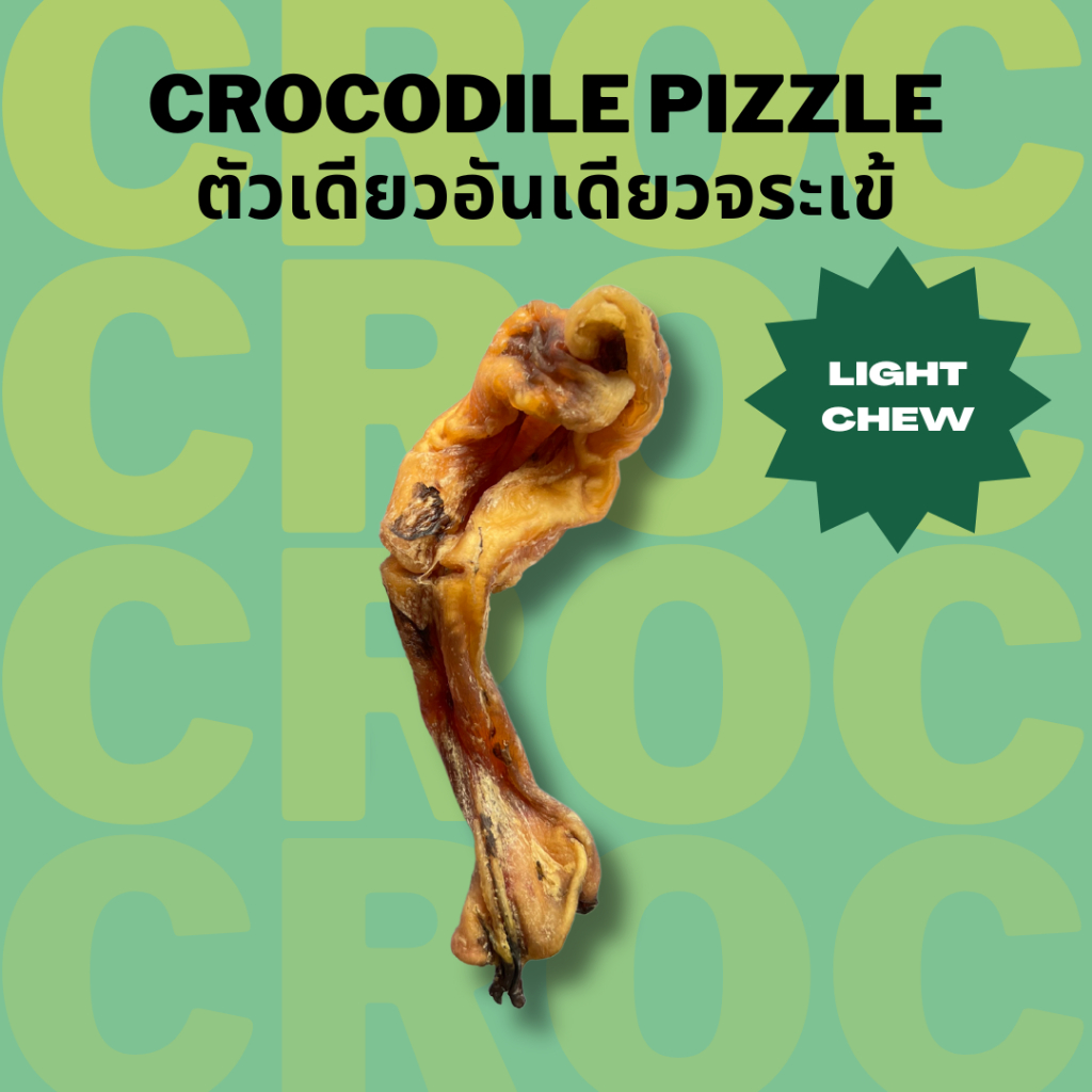 ตัวเดียวอันเดียวจระเข้ เจ้าแรกในไทย Bella's Bites Crocodile Pizzle Chew