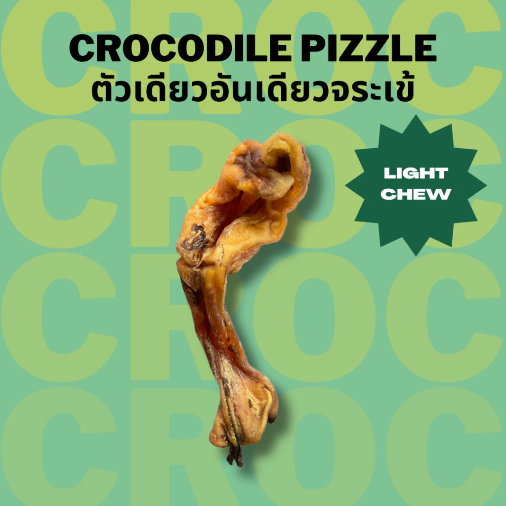 ตัวเดียวอันเดียวจระเข้ เจ้าแรกในไทย Bella's Bites Crocodile Pizzle Chew
