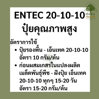 ENTEC 20-10-10 ปุ๋ยคุณภาพสูงช่วยกระตุ้น : การแตกยอด แตกกอ เหมาะกับ ผักกินใบ ไม้ผล ไม้ดอก พืชสวนทั่วไป แบ่งบรรจุ