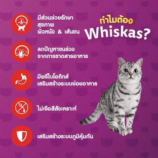 WHISKAS วิสกัส อาหารเม็ดแมวสูตรบำรุงผิวหนังและเส้นขน สำหรับแมวโต 1.1 กก.