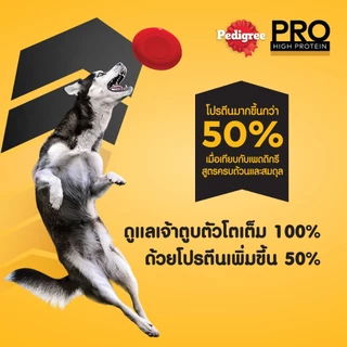 PEDIGREE เพดดิกรี โปร อาหารหมาพันธุ์กลางและใหญ่สูตรโปรตีนสูง 10 กก.