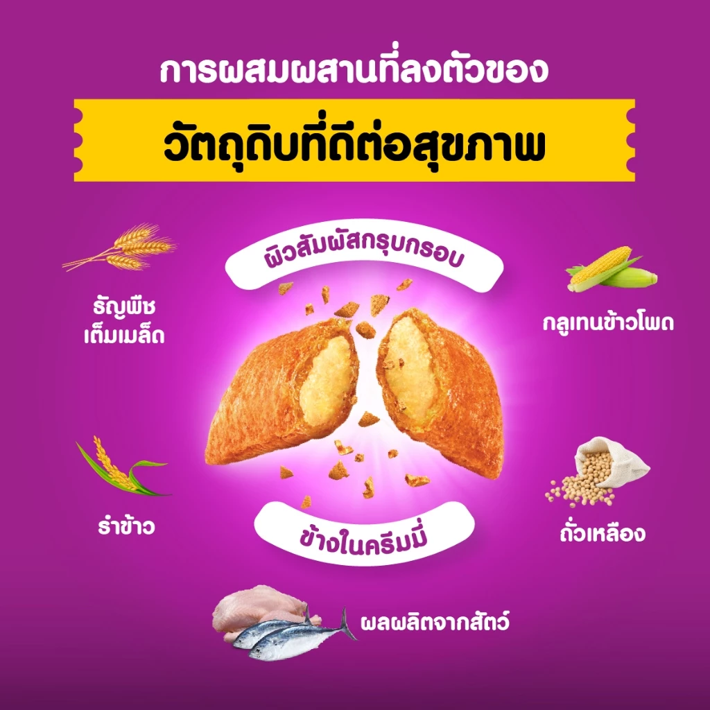 WHISKAS วิสกัส อาหารเม็ดแมวสำหรับแมวโต 1.2 กก. thumbnail 5